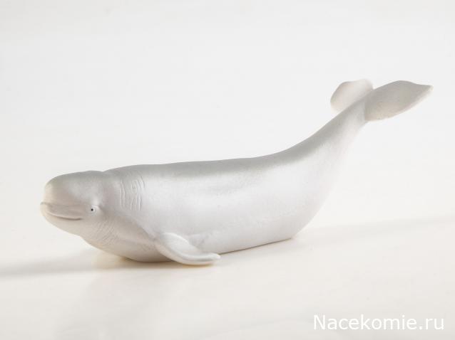 Дикие животные России (MODIMIO)