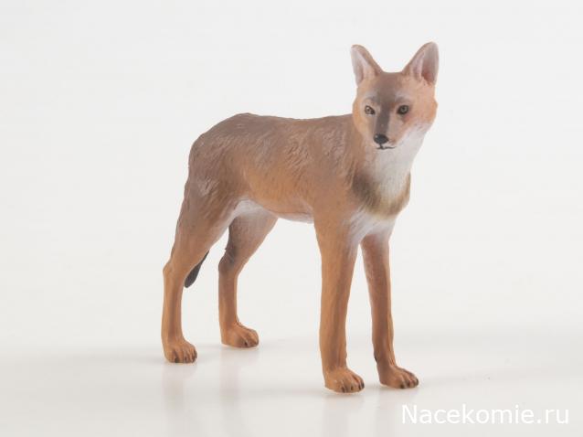 Дикие животные России (MODIMIO)