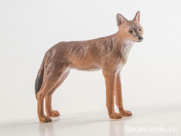 Дикие животные России (MODIMIO)