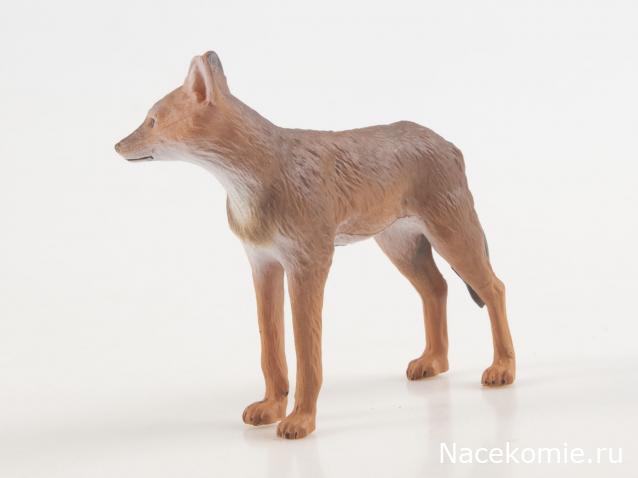 Дикие животные России (MODIMIO)