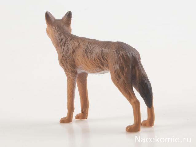 Дикие животные России (MODIMIO)