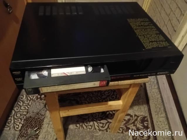 Вперёд в прошлое!