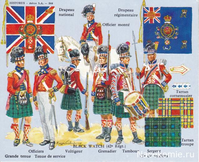 НВ: Прочие производители