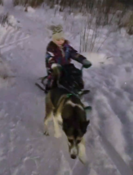 "Живой уголок"