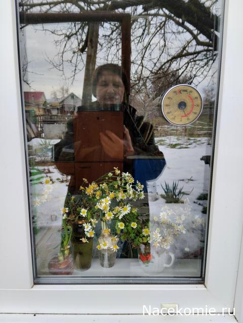 Eva1949 - Дом мечты-души моей воспоминания; 1Abrikoska - Мой гостеприимный дом