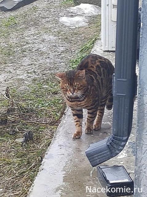 "Живой уголок"