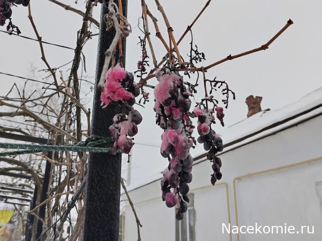 Eva1949 - Дом мечты-души моей воспоминания; 1Abrikoska - Мой гостеприимный дом