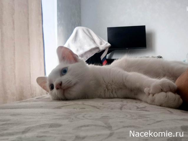 "Живой уголок"