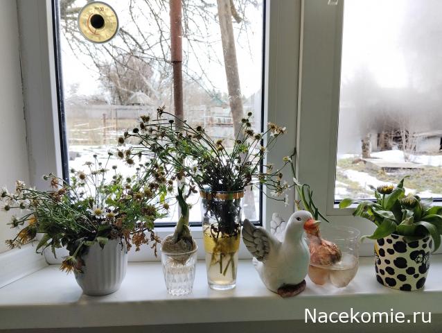 Eva1949 - Дом мечты-души моей воспоминания; 1Abrikoska - Мой гостеприимный дом