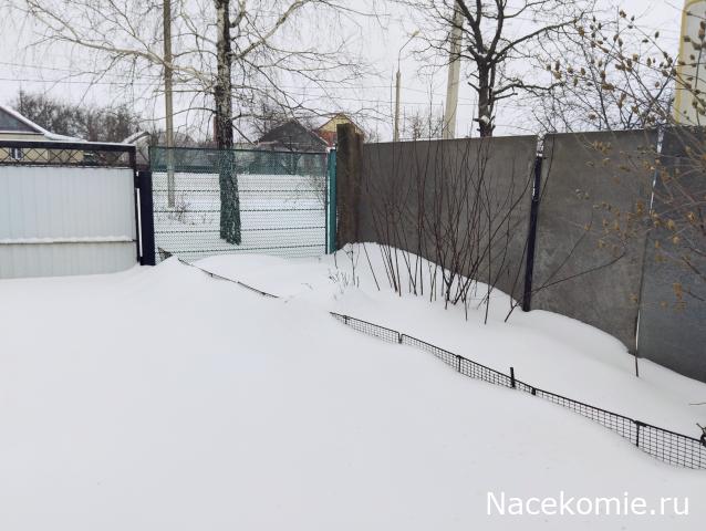 Eva1949 - Дом мечты-души моей воспоминания; 1Abrikoska - Мой гостеприимный дом