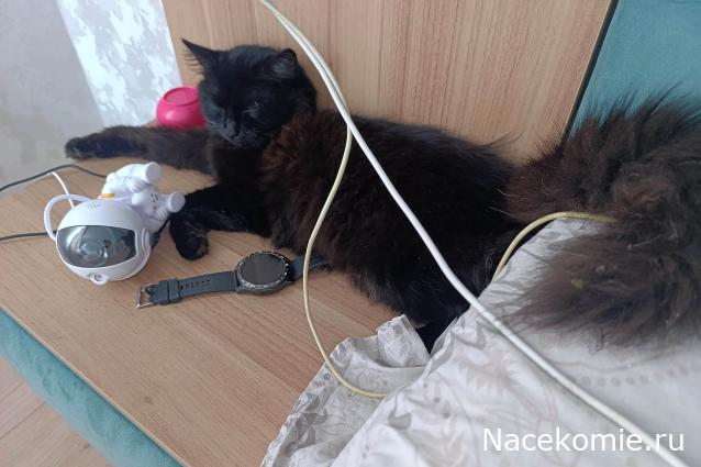 "Живой уголок"