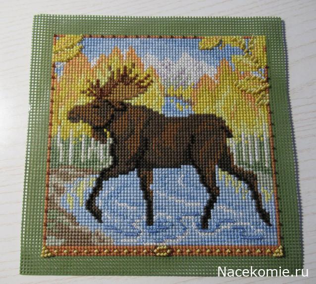 100 крестиков!