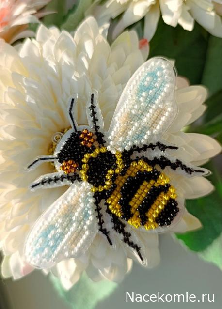 100 крестиков!