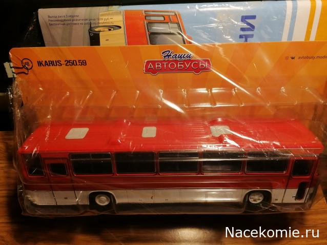 Наши Автобусы №18 - Икарус-250.59