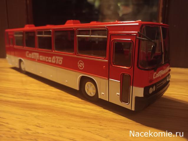 Наши Автобусы №18 - Икарус-250.59