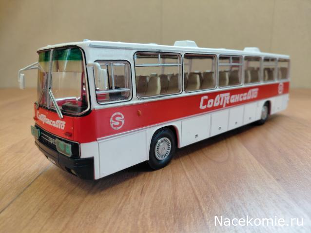 Наши Автобусы №18 - Икарус-250.59