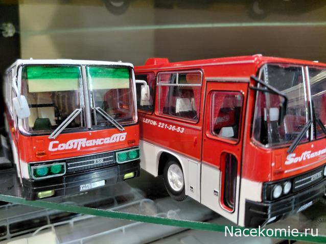 Наши Автобусы №18 - Икарус-250.59