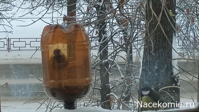 Строим Дом.