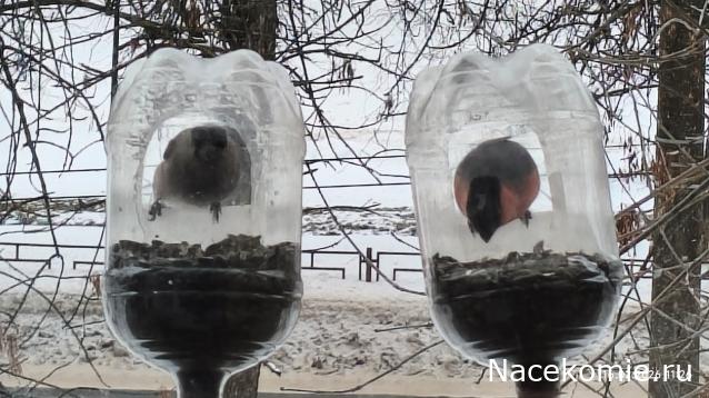 Строим Дом.