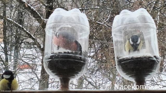 Строим Дом.