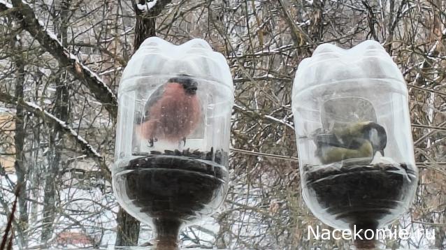 Строим Дом.