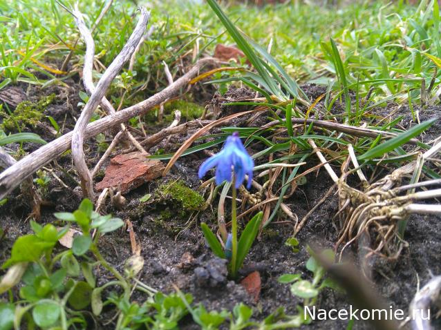 Eva1949 - Дом мечты-души моей воспоминания; 1Abrikoska - Мой гостеприимный дом