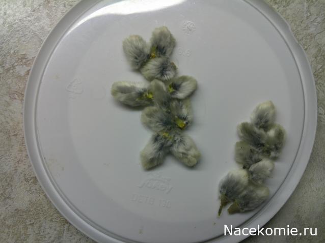 Eva1949 - Дом мечты-души моей воспоминания; 1Abrikoska - Мой гостеприимный дом