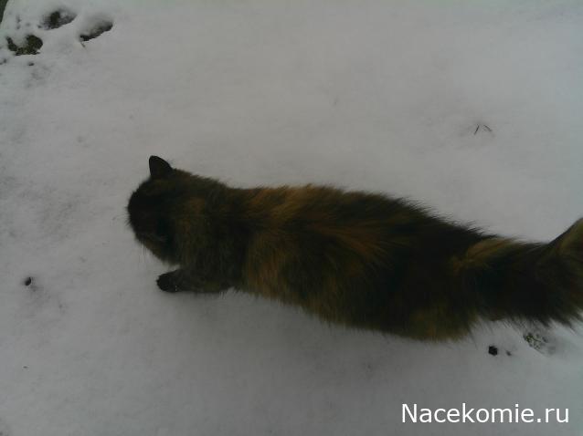 Eva1949 - Дом мечты-души моей воспоминания; 1Abrikoska - Мой гостеприимный дом