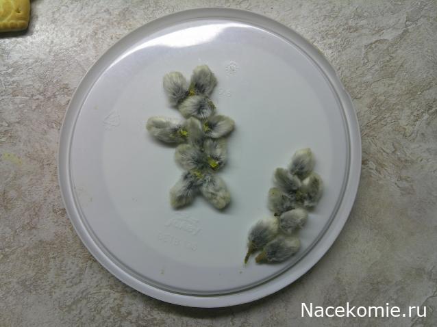 Eva1949 - Дом мечты-души моей воспоминания; 1Abrikoska - Мой гостеприимный дом