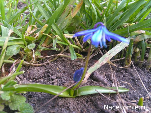 Eva1949 - Дом мечты-души моей воспоминания; 1Abrikoska - Мой гостеприимный дом