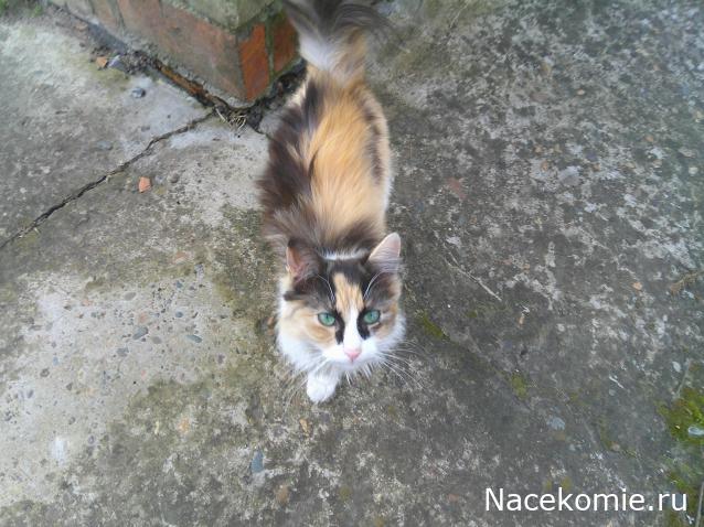 Eva1949 - Дом мечты-души моей воспоминания; 1Abrikoska - Мой гостеприимный дом