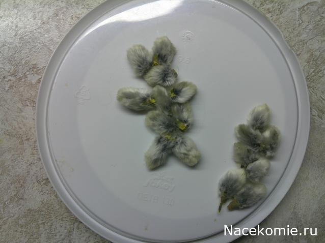 Eva1949 - Дом мечты-души моей воспоминания; 1Abrikoska - Мой гостеприимный дом