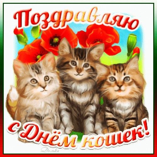 Радиорубка наших поездов: поздравления для всех тех, с кем нам по пути!