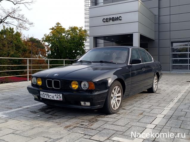 Автолегенды вживую