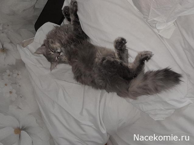 "Живой уголок"