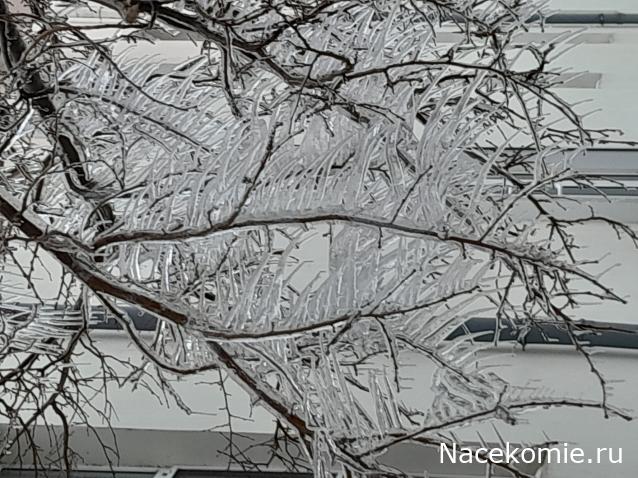 Liana65-Snegana - Мой будущий дом и его обитатели.