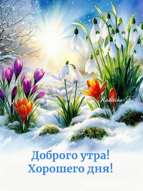 Вагон - салон (болталка)