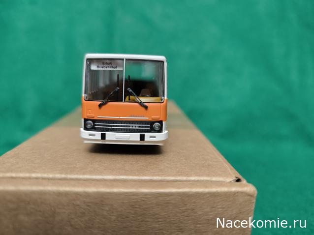 Наши Автобусы №81 - Икарус-260.51