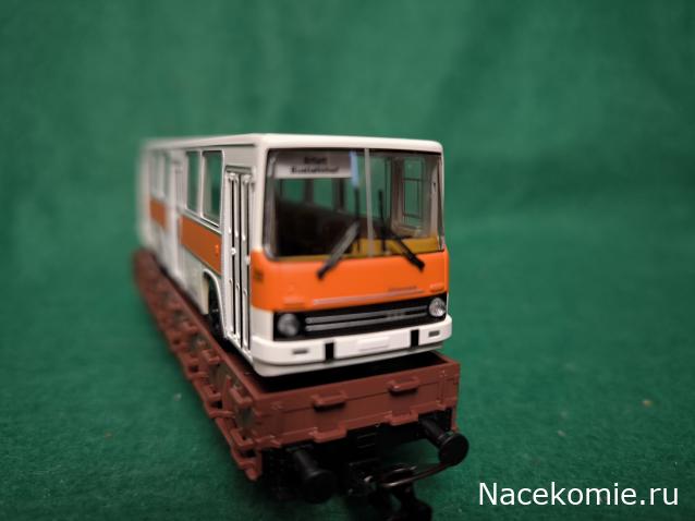 Наши Автобусы №81 - Икарус-260.51