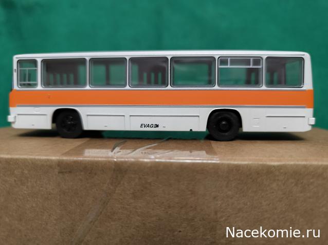 Наши Автобусы №81 - Икарус-260.51