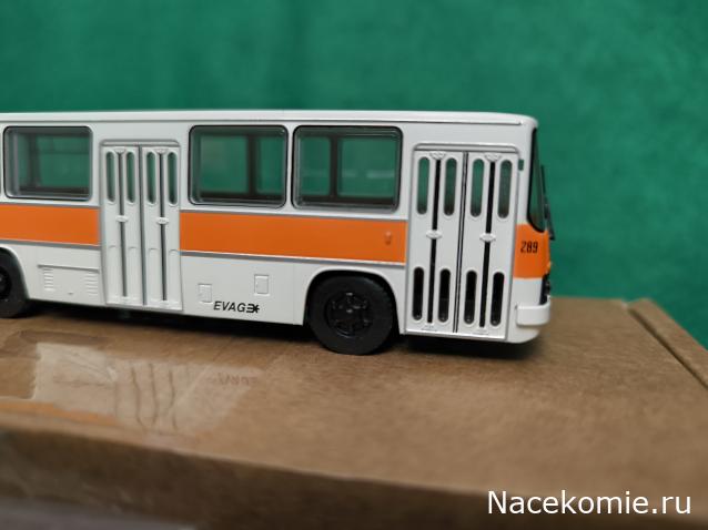 Наши Автобусы №81 - Икарус-260.51