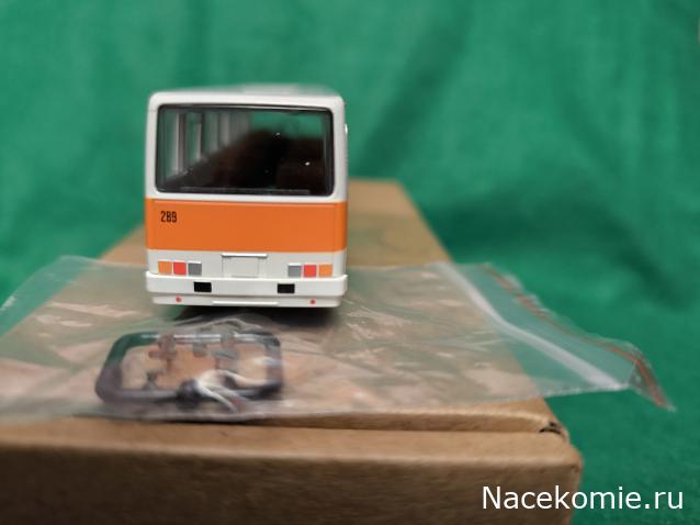 Наши Автобусы №81 - Икарус-260.51