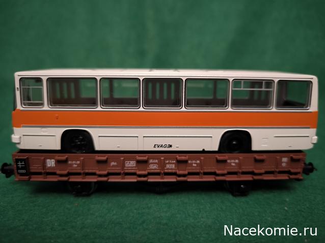 Наши Автобусы №81 - Икарус-260.51