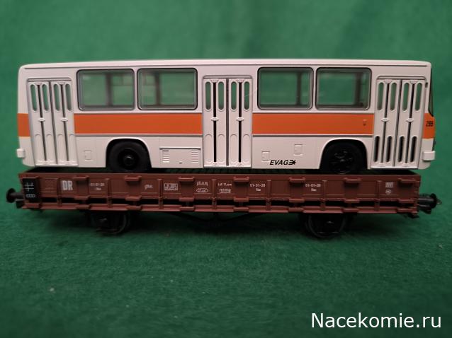 Наши Автобусы №81 - Икарус-260.51