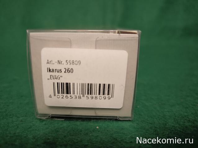 Наши Автобусы №81 - Икарус-260.51