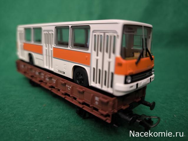 Наши Автобусы №81 - Икарус-260.51