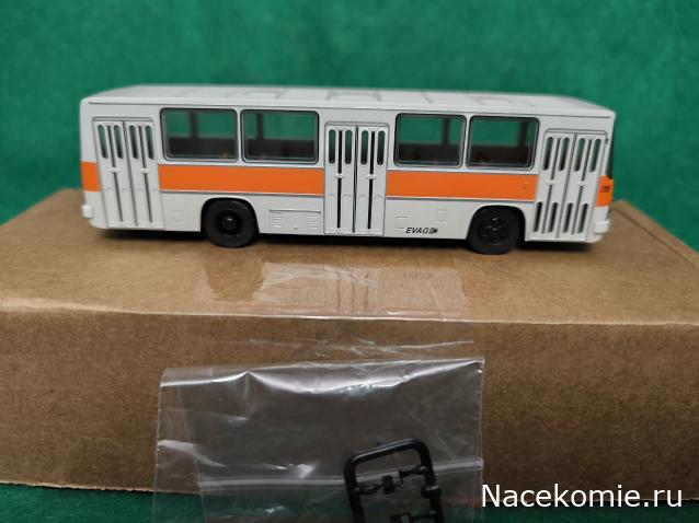 Наши Автобусы №81 - Икарус-260.51