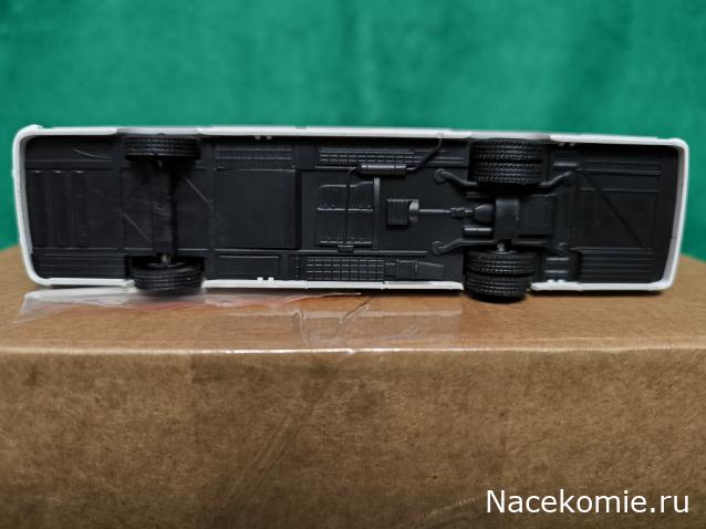 Наши Автобусы №81 - Икарус-260.51