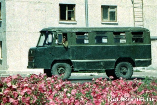 Околоавтобусная болталка