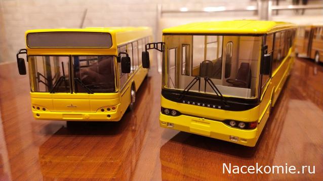 Наши Автобусы № 79 - Волжанин-6270